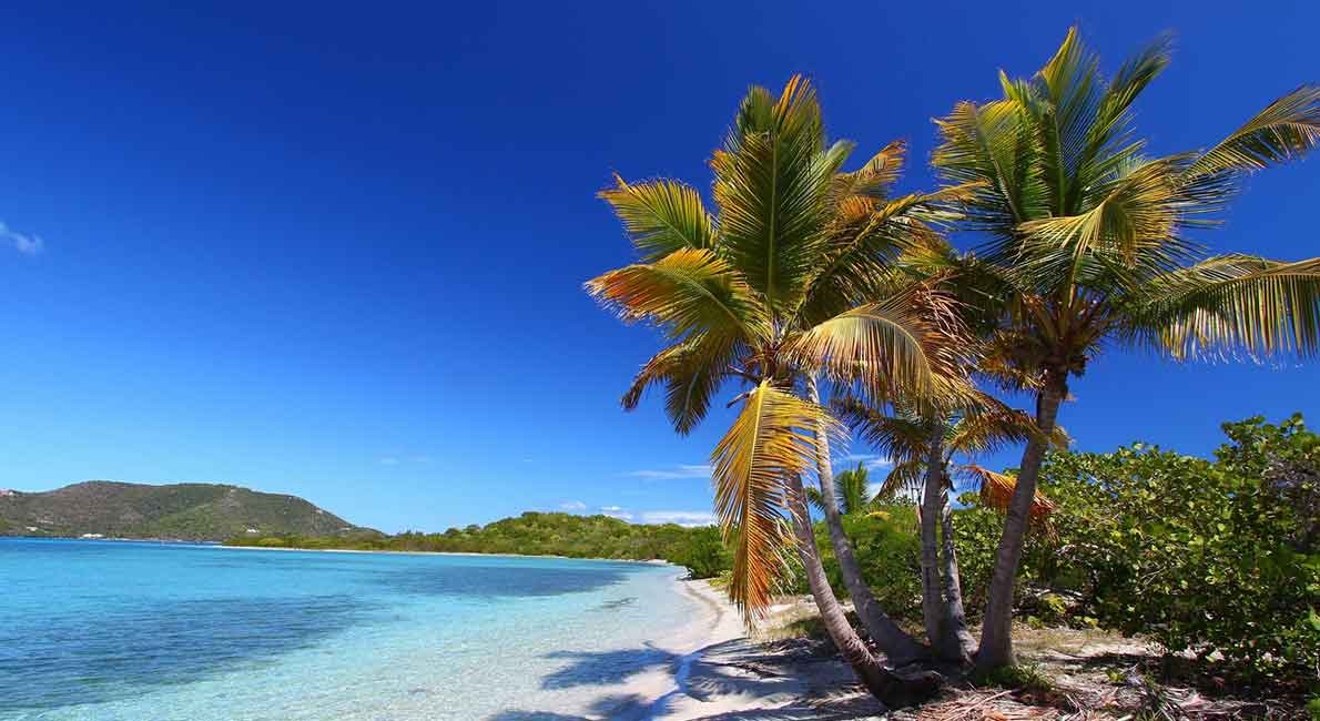 Take a break in the Beef Island