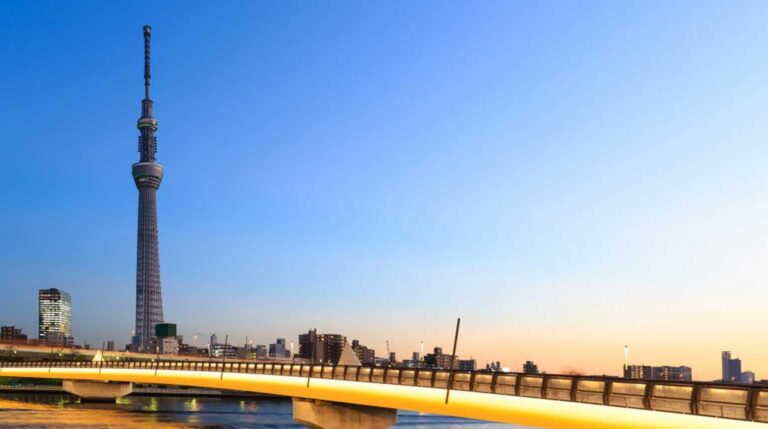 Tokyo – The Big Mikan