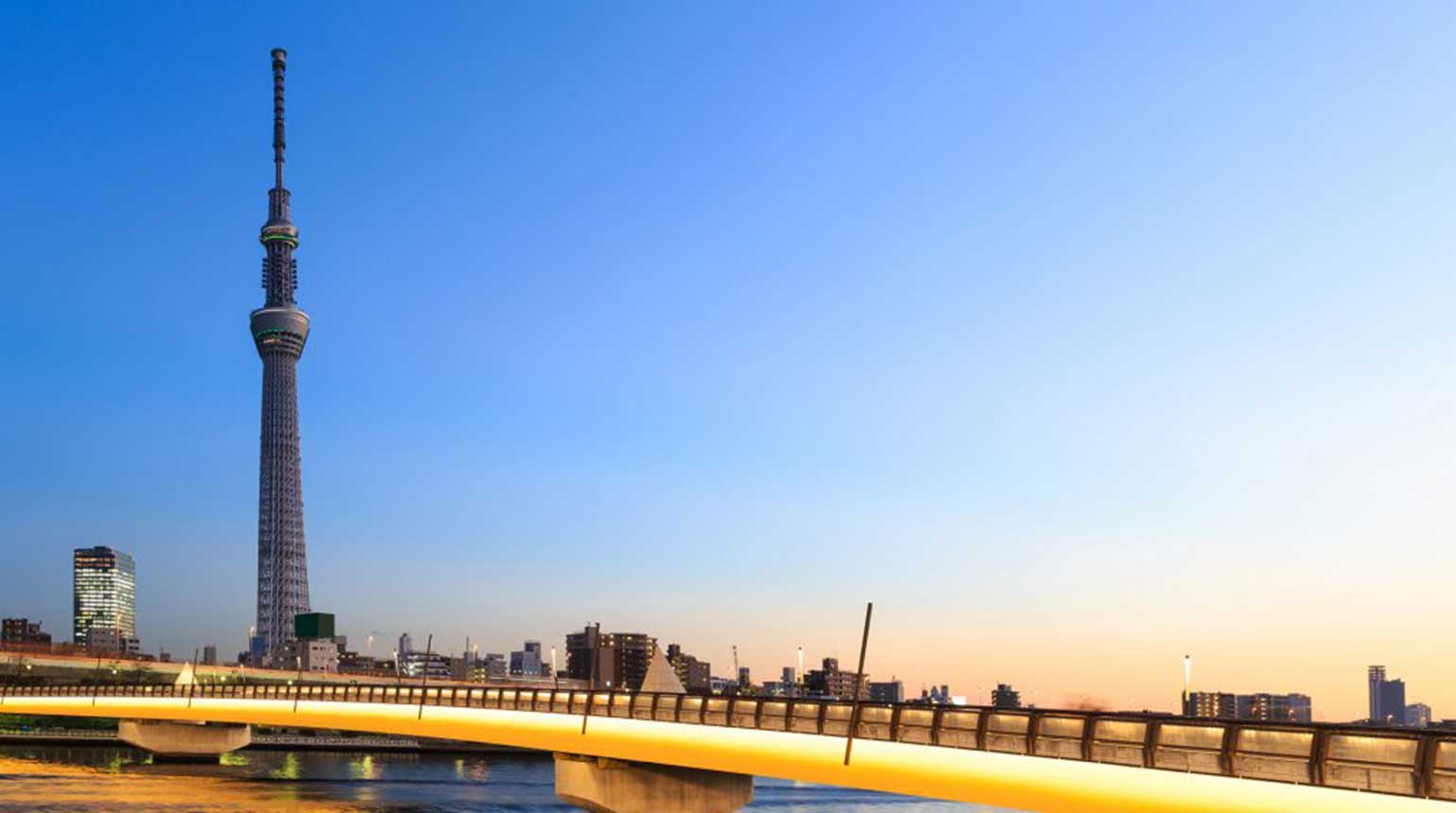 Tokyo – The Big Mikan