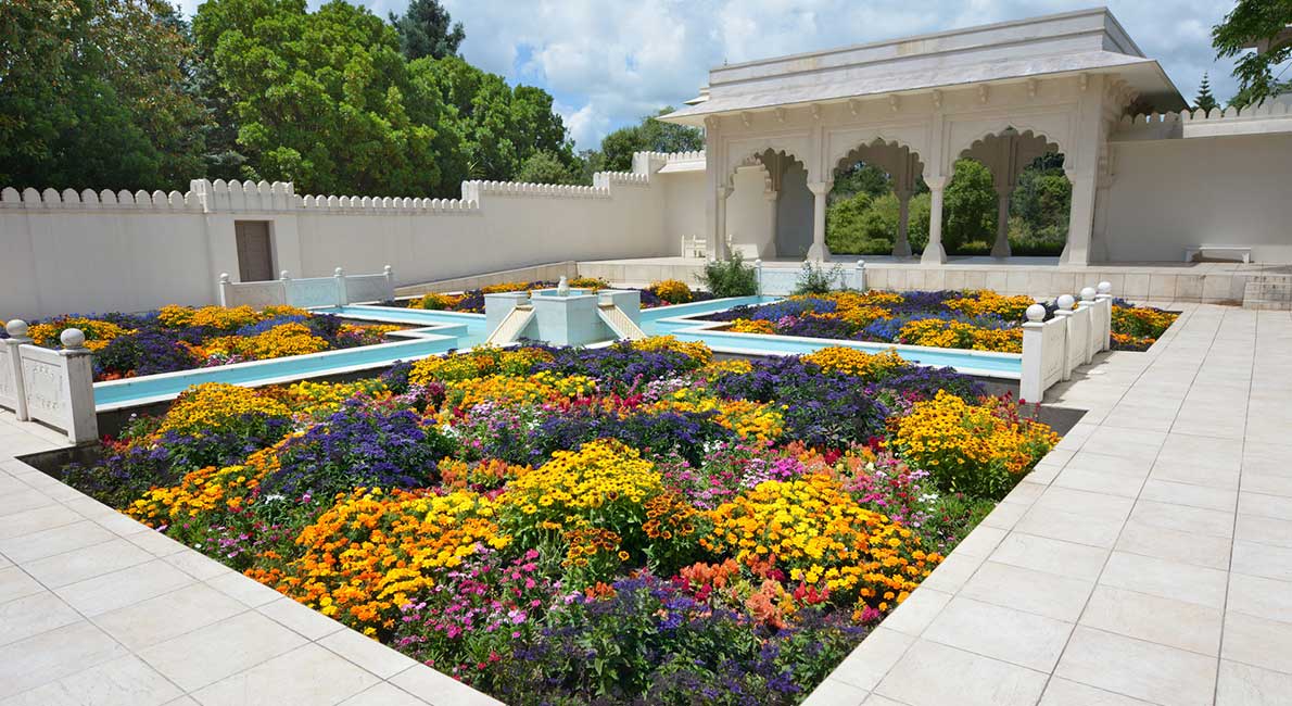 The Most Stunning Locations in Hamilton, New Zealand.