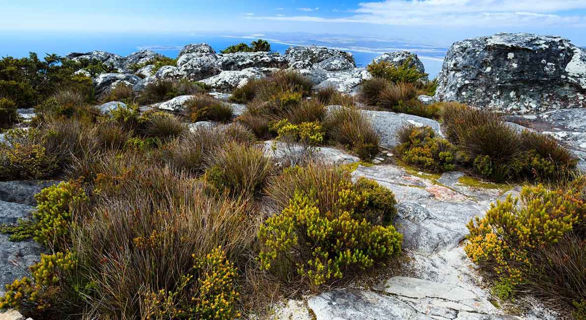 My travel guide to Kansas City.