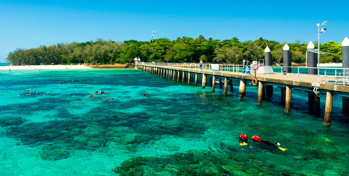 Things to See and Do in Cairns, Australia.