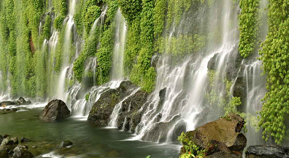 The Best Ecotourism Encounters in Mindanao, Philippines.