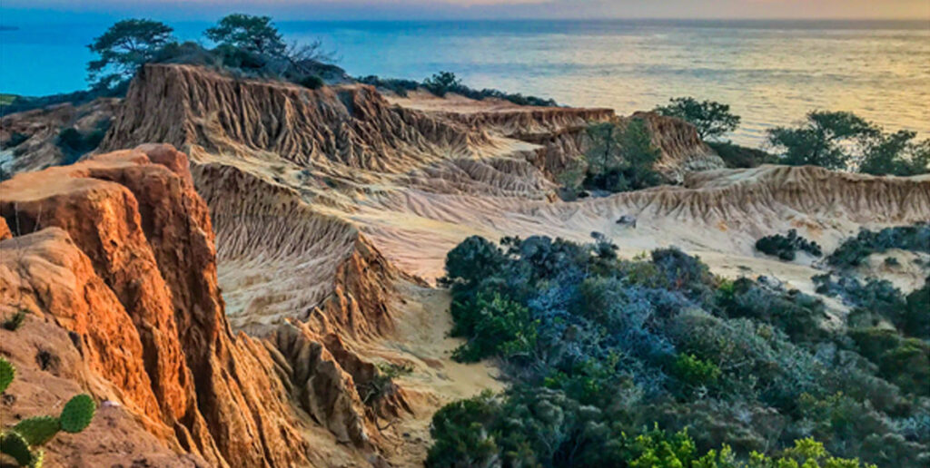Torrey Pines State Natural Reserve