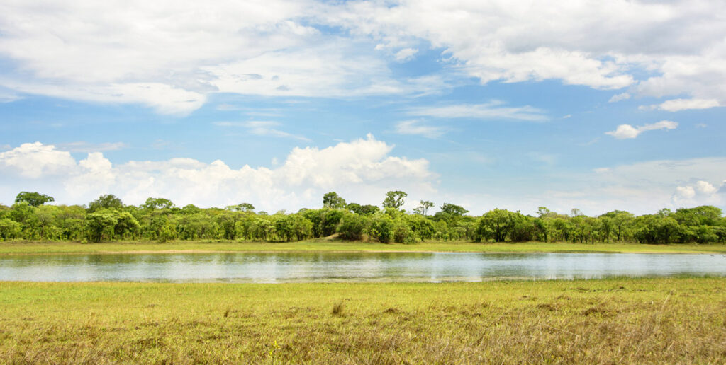 Kasungu National Park