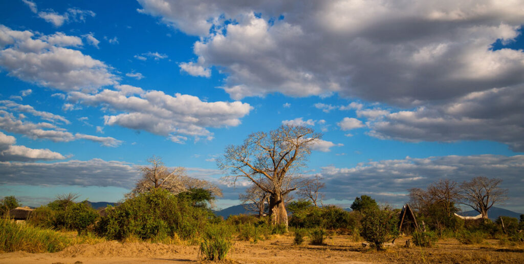 Liwonde National Park