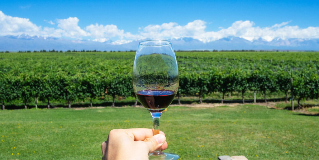 glass of Tint wine, Argentina