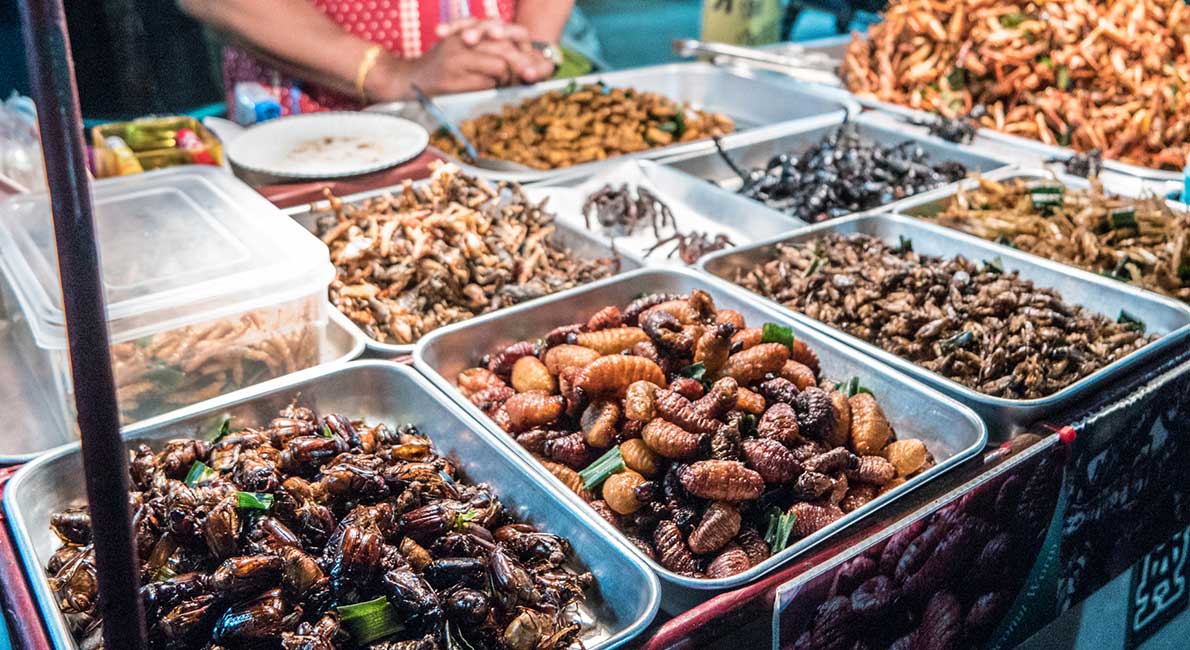 5 Most Daring Must Do Foods Around The World