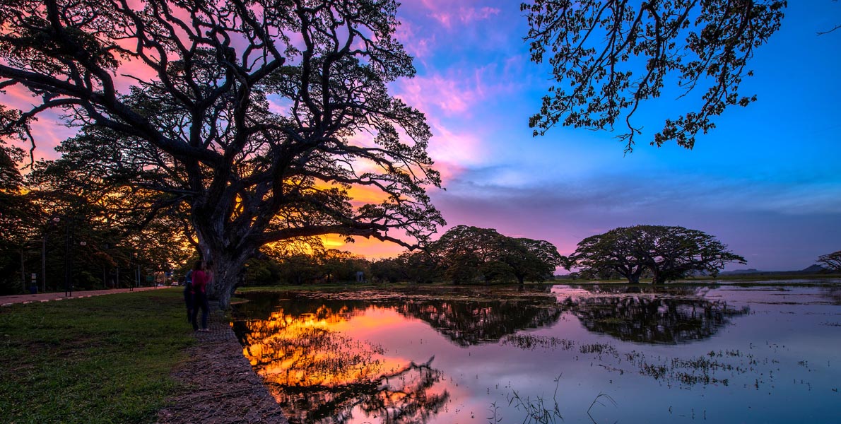 Top 5 Hotels in Sri Lanka just for £50