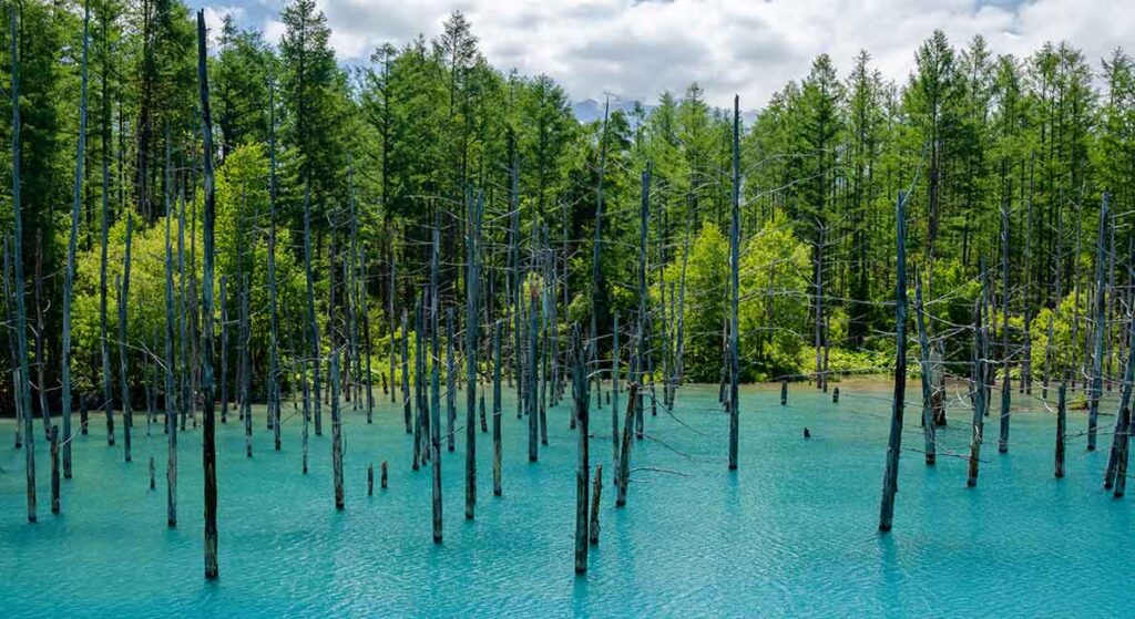 Shirogane Blue Pond, Japan
