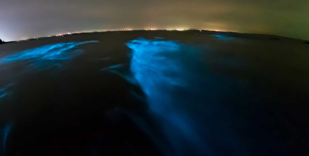 Bioluminescent Beach