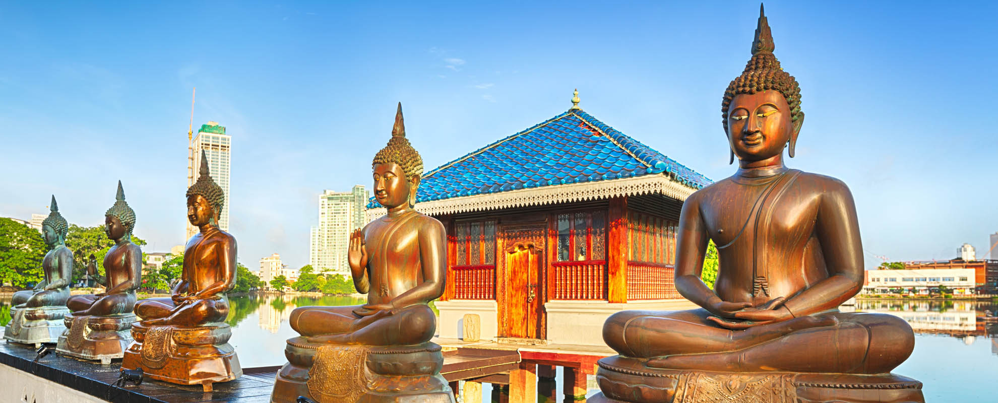 Take a Deep Dive into an Amazing World of Culture