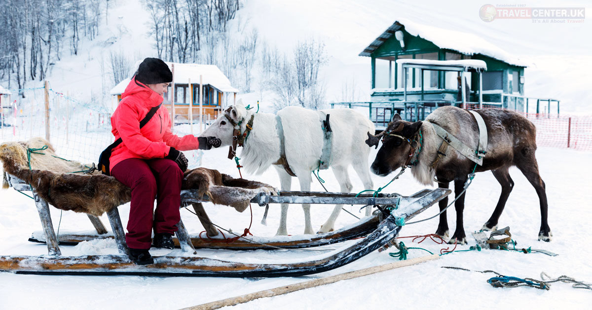 Explore a winter wonderland on your Getaway in Lapland!