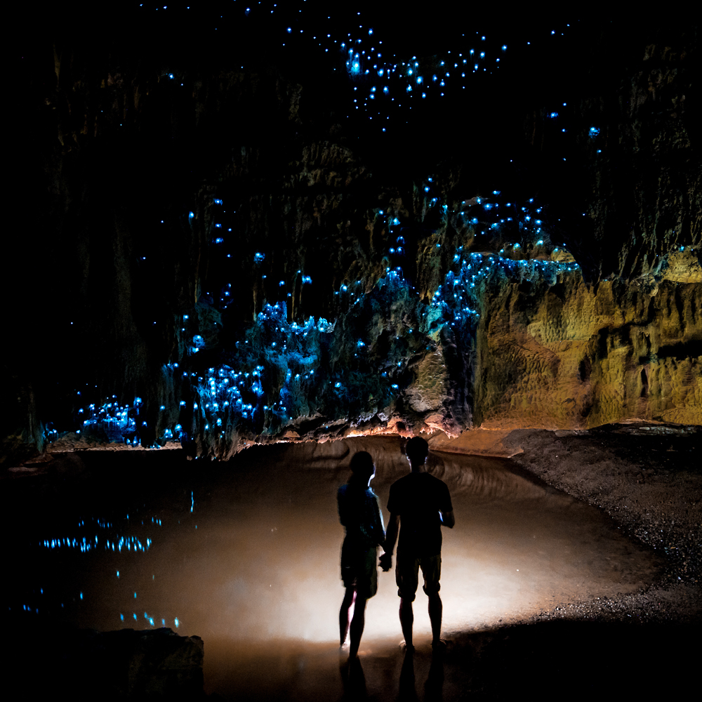 The most beautiful places in the world - The Gloworm Caves, Waitomo, New Zealand