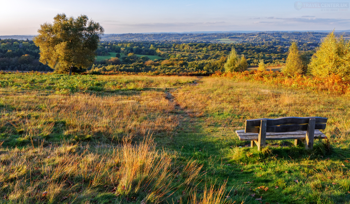 Cities to visit in 2021 - Ashdown Forest