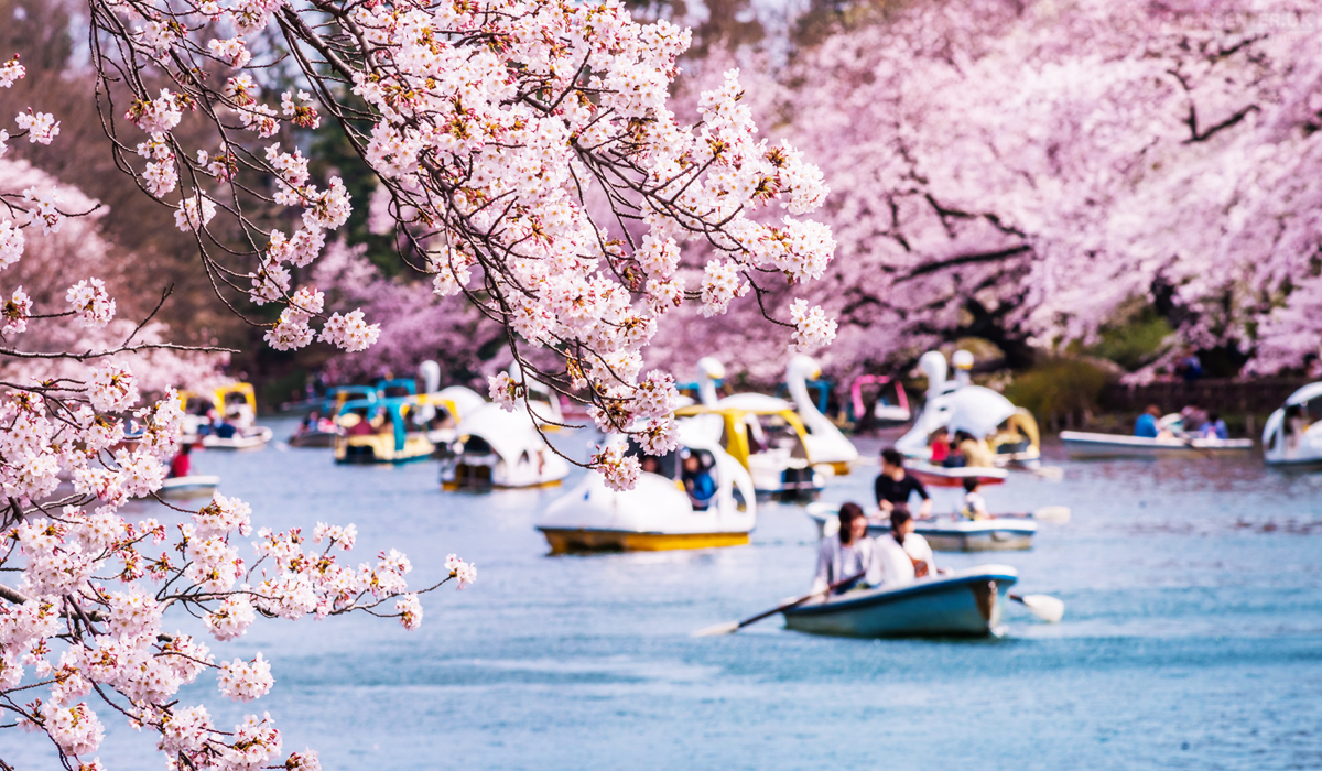Cities to visit in 2021 - Inokashira Park Mitaka Tokyo