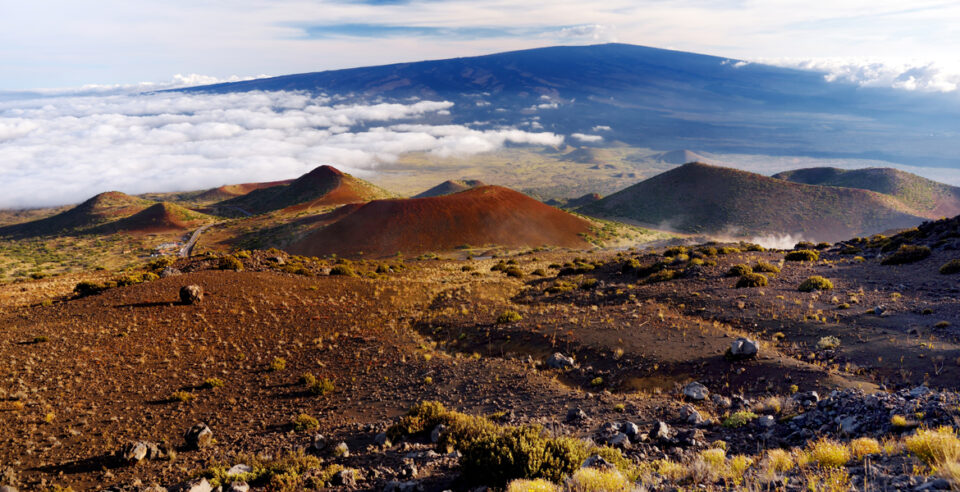 The Mauna Loa Eruption