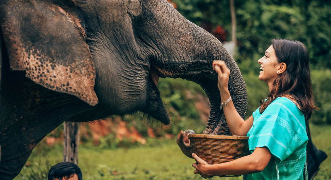 Thailand in November - Elephant Sanctuaries 