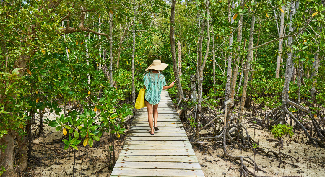 best time to visit the Seychelles - Curieuse Island