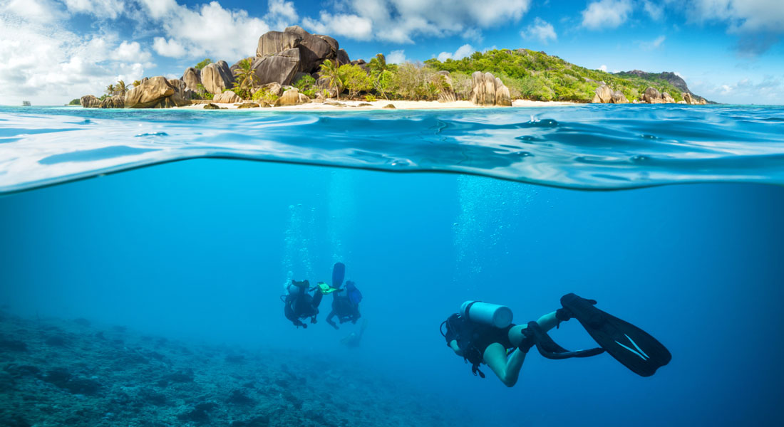 best time to visit the Seychelles - Go diving