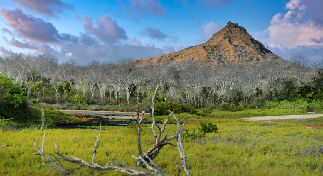 Best National Parks in the World - Galápagos National Park, Ecuador