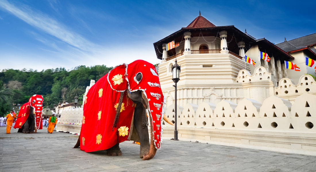 Best Time to Visit Sri Lanka - Ancient