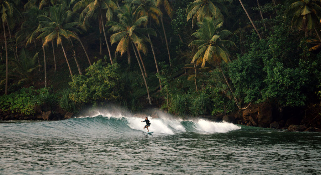 The Best Time to Visit Sri Lanka in 2025: A Month-by-Month Guide