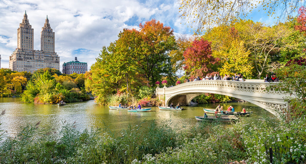 Bernina Express Holidays - New York