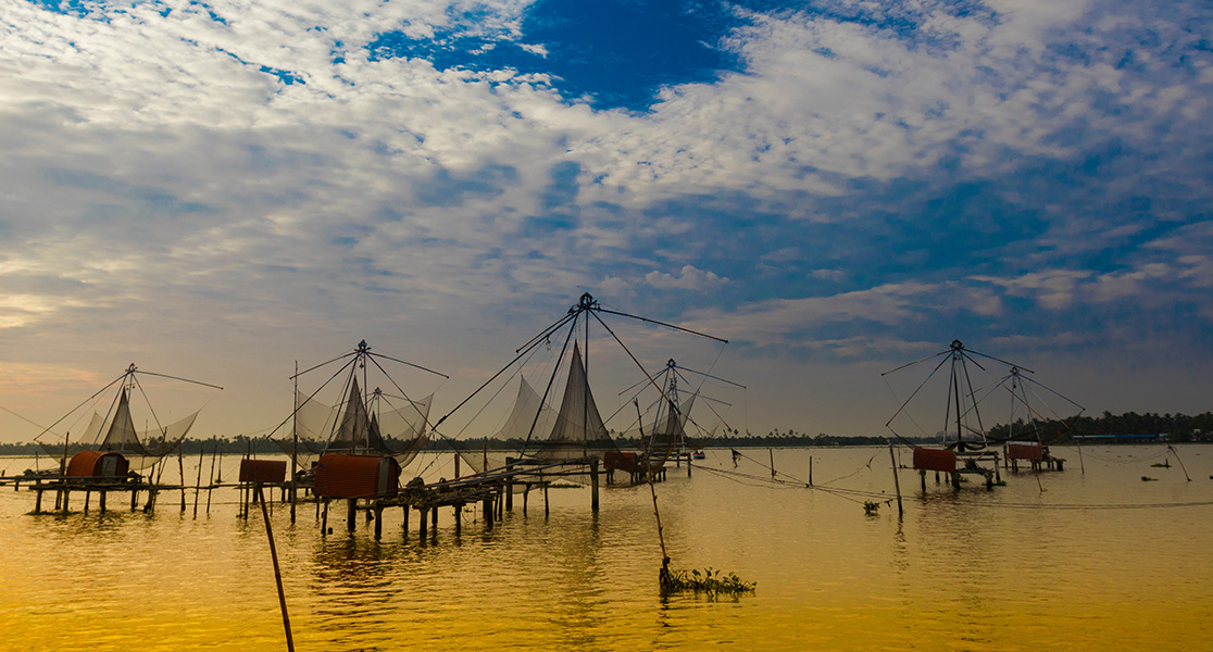 Best Places to Visit in Kerala - Kumbalangi