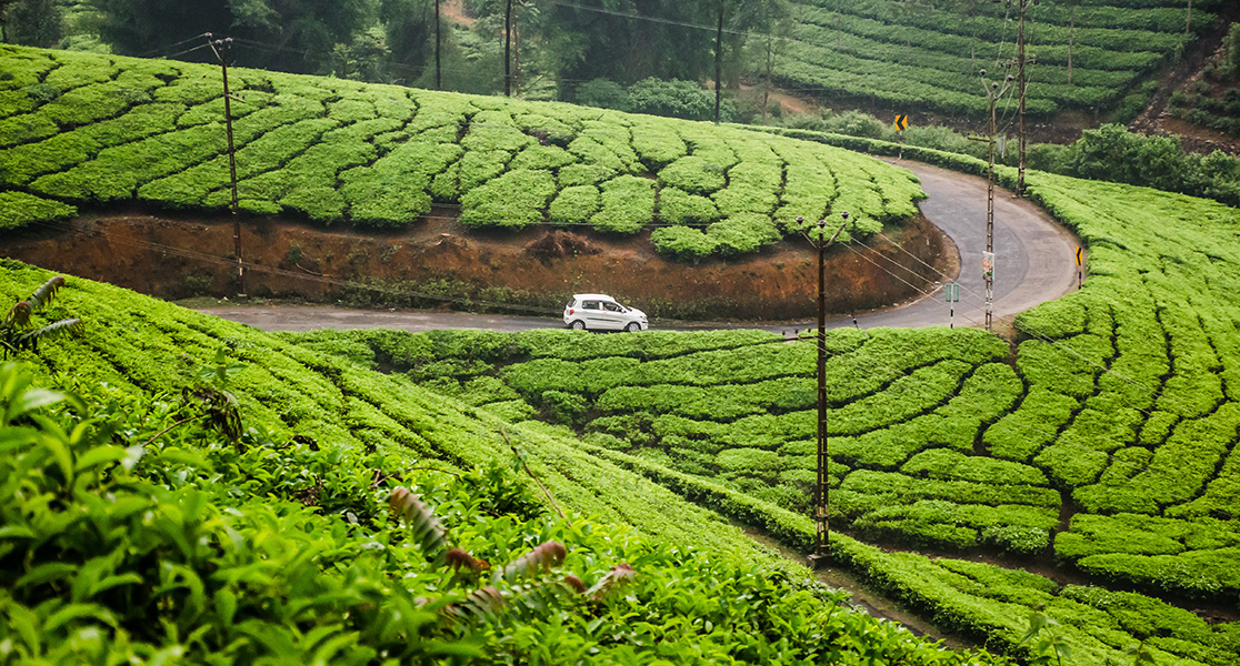 Best Places to Visit in Kerala - Idukki 