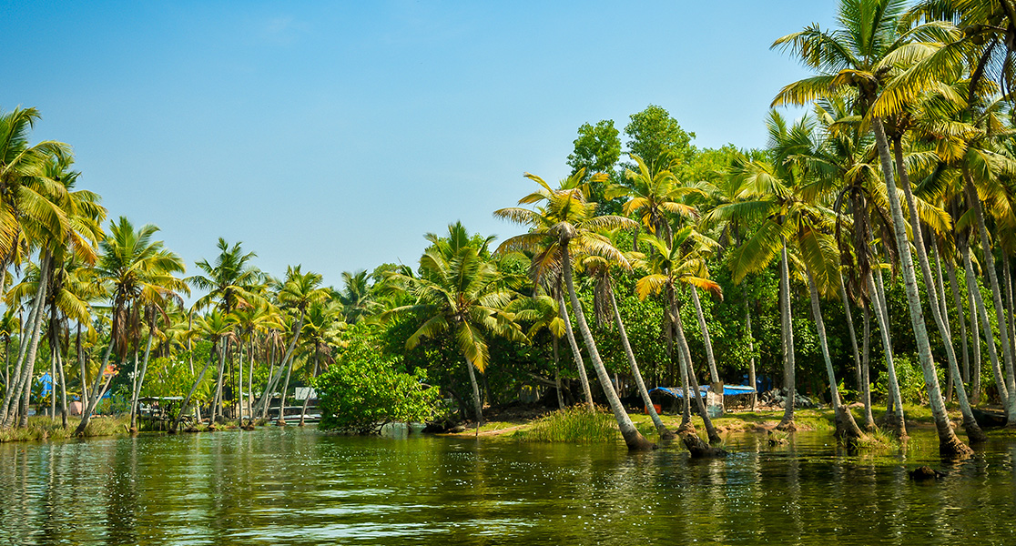 Best Places to Visit in Kerala - Poovar