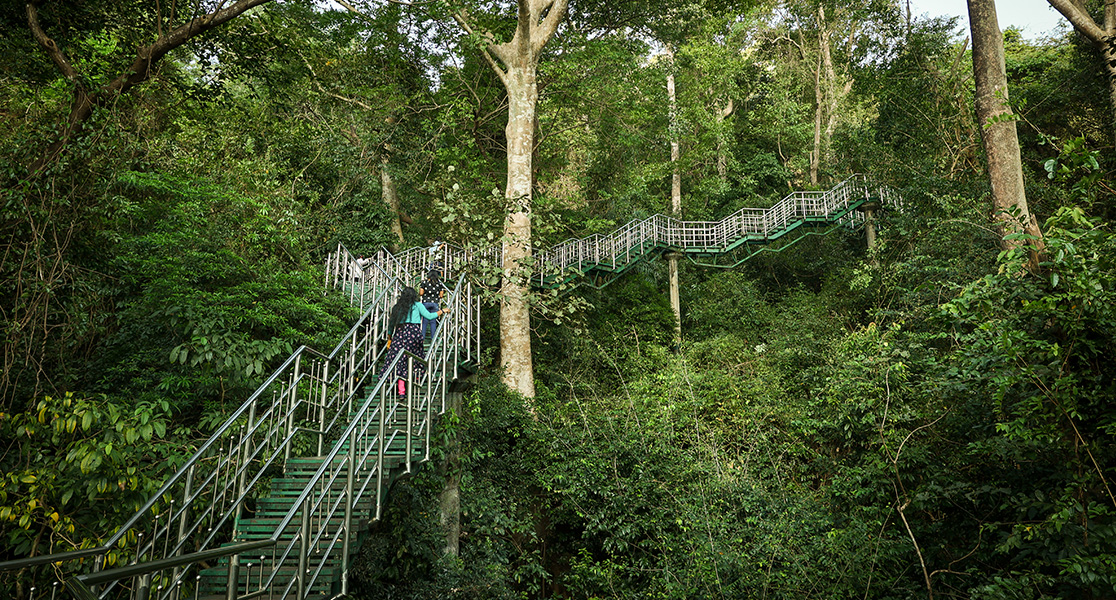 Best Places to Visit in Kerala - Thenmala 