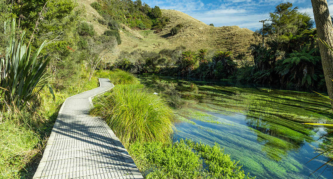 Detour Destinations - Waikato, New Zealand