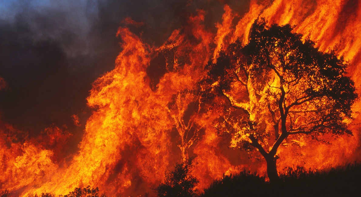 South Korea Wildfires: Deadly Week-Long Blaze Kills 28 People