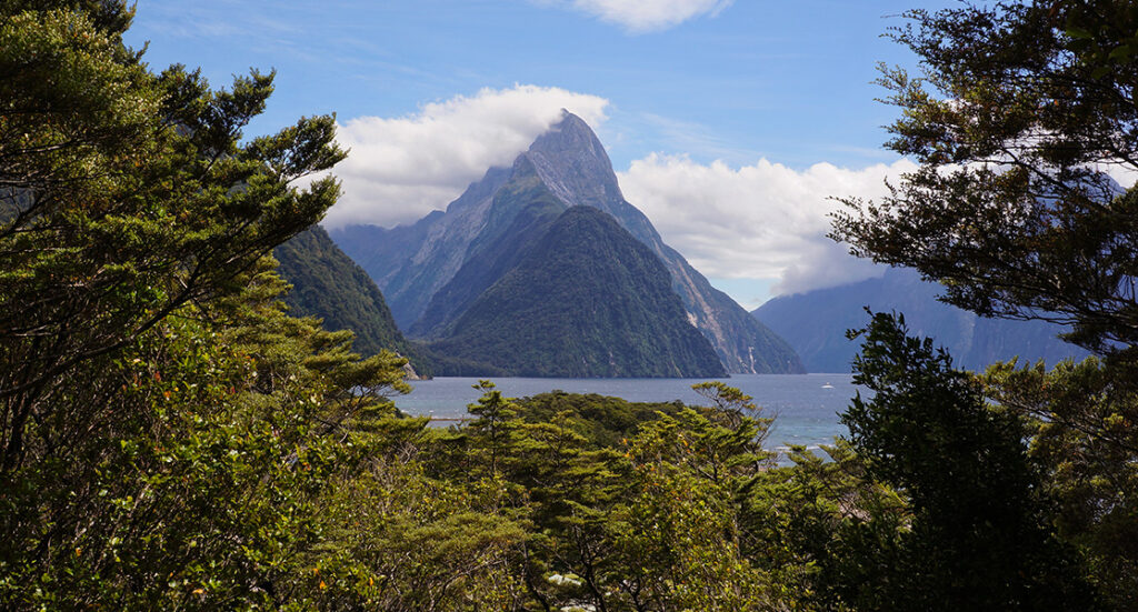 JOMO Travel - Fiordland