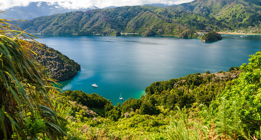 JOMO Travel - Marlborough Sounds
