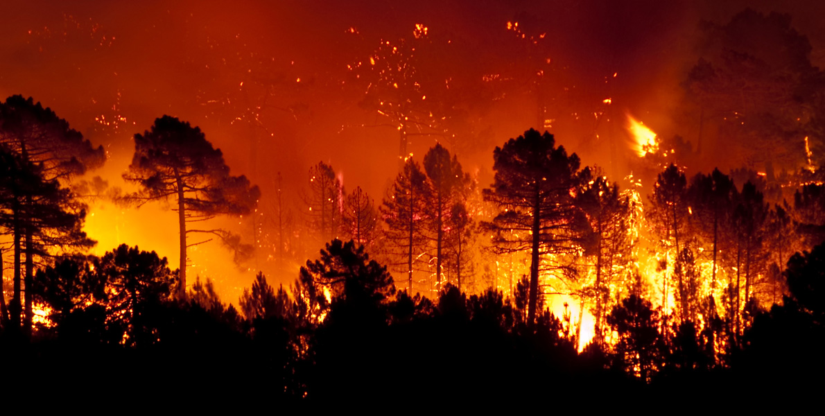 Wildfire on Crete: What Travellers Need to Know About the Blazing Challenges