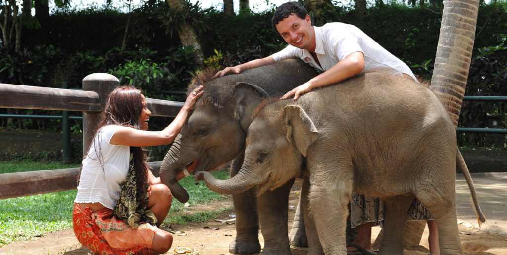 friendly wild encounters in Thailand