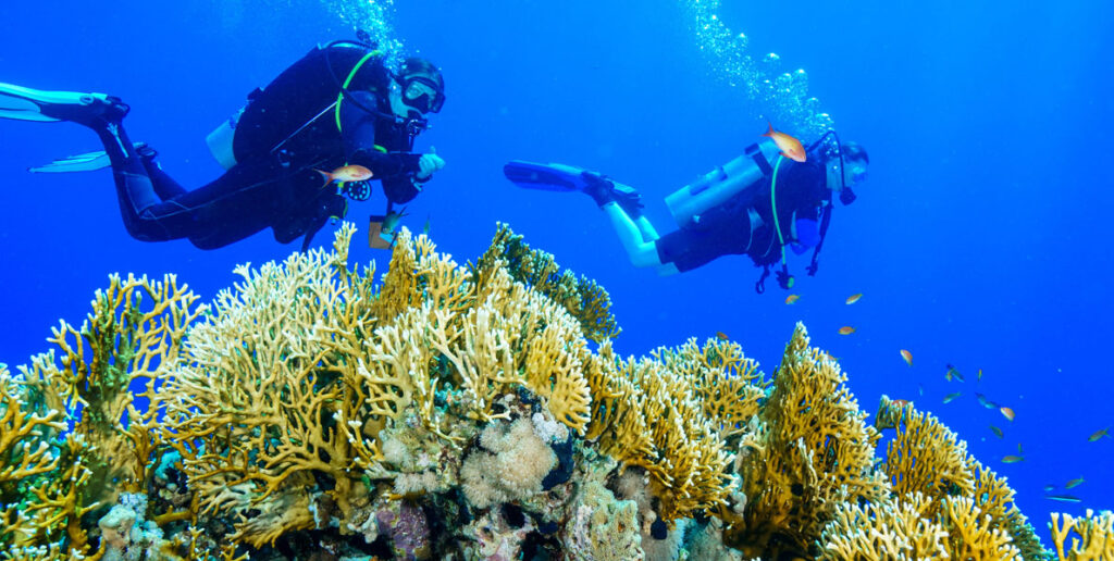 World-class diving and snorkelling