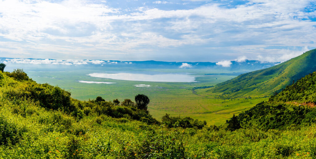 View over Ngorongoro Crater, Tanzania, Trees in Tanzania