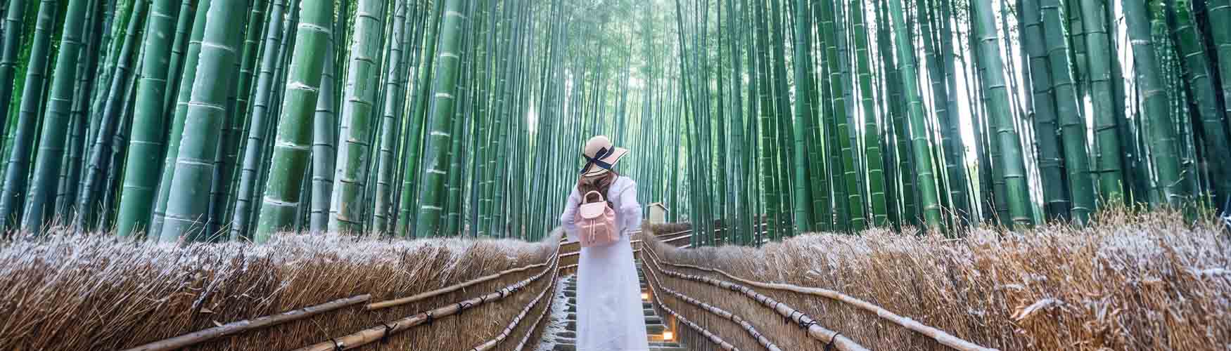 Japan in December: Weather, Temperature & Travel Tips