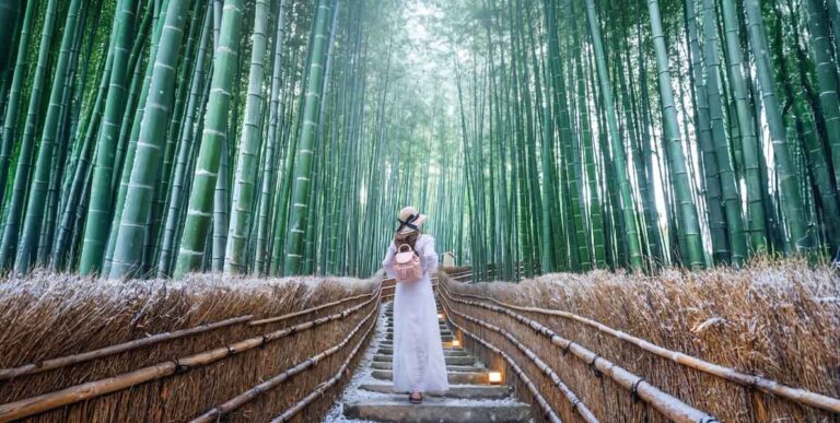 Japan in December: Weather, Temperature & Travel Tips